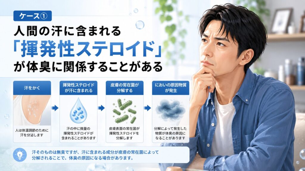 汗と体臭の関係解説